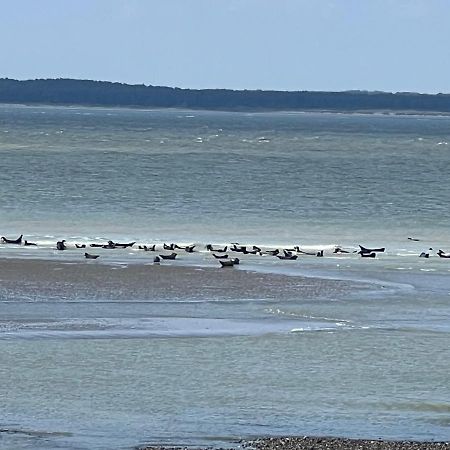 Plage A 50M Appartement Reves Bleus Villa Les Bains De Mers Exterior foto